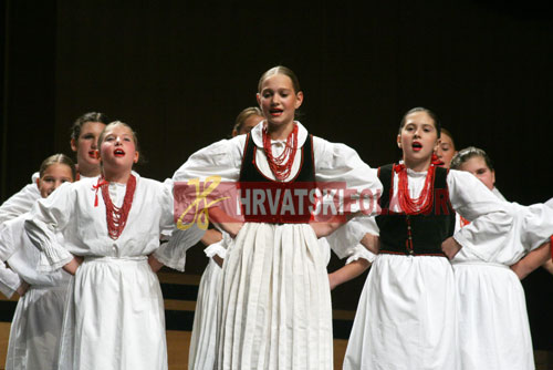 lisinskizeljeznicar (6)